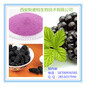黑莓粉黑莓提取物速溶果汁粉天然生粉无添加