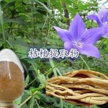 桔梗提取物包袱花提取物铃铛花提取物药食同源斯诺特生物