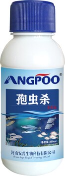 孢蟲殺安普生物國標(biāo)水產(chǎn)藥殺滅孢子蟲