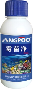霉菌凈安普正大水產(chǎn)藥廠家治霉菌藥