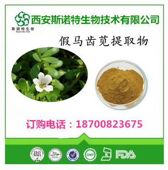 馬齒莧提取物10:1消炎抗菌馬齒莧皂甙