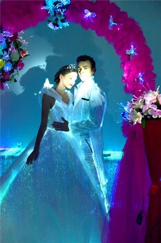 廠家定制發(fā)光婚紗夜光婚紗光纖晚禮服led婚紗晚宴發(fā)光禮服