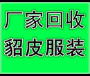 沈阳收貂的沈阳貂皮回收沈阳哪有收购貂皮服装的快速上门