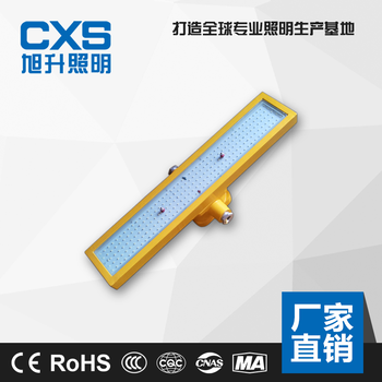 DGS18(15,20)/127L(E)矿用隔爆型LED巷道灯防爆应急灯厂家