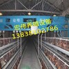 养殖全自动喂料机阶梯式上料机热镀锌材配套消毒设施