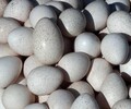 北京火雞蛋銷售北京叢林精靈生態文化有限公司價格實惠