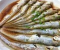 北京長江鰣魚銷售