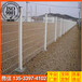 供应低碳钢丝电焊网增城小区护栏网广州公司外墙围栏网