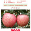 精品紅富士1kg果徑80-85mm水果
