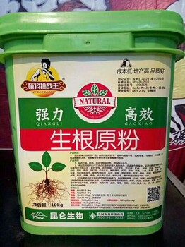 辣椒根腐病怎么防治，生根粉有效預(yù)防病毒病害