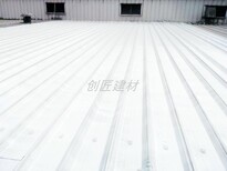 荆州钢结构防水涂料图片2