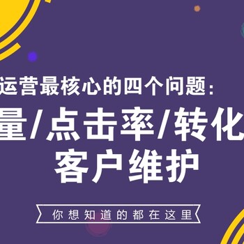 河南电商运营网络营销淘宝天猫一对一实战辅导行业
