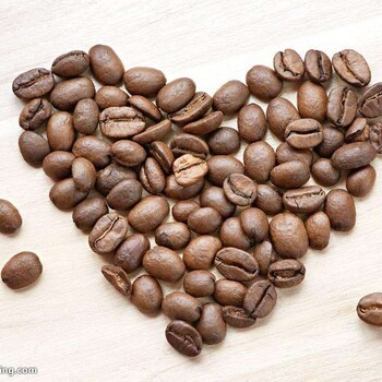 深圳进口咖啡豆一对一跟单服务