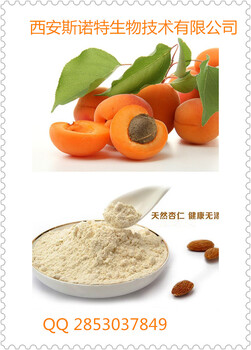 杏仁粉杏仁速溶粉