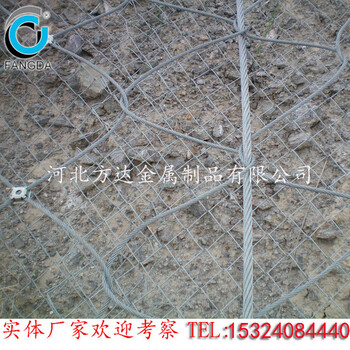 新疆護堤草籽鐵絲網(wǎng)、鍍鋅孔眼鋼絲網(wǎng)廠家綠化鐵絲網(wǎng)規(guī)格價格