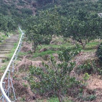 山地陡坡运输来帮助你运输工程材料上山，减少人力成本！