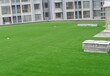 屋顶绿化三大类型人造草坪成首选
