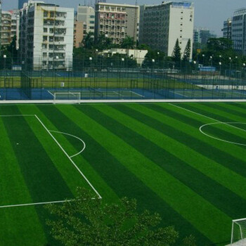 体育场人造草坪如何达到标准，沧州博纳因为专注所以足球场草坪