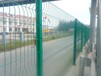 河北尚塞厂家直销双边丝护栏网价格合理可支持定做欢迎致电