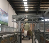 肉鸡笼养殖设备单体笼养设备三层肉鸡辊压笼养设备