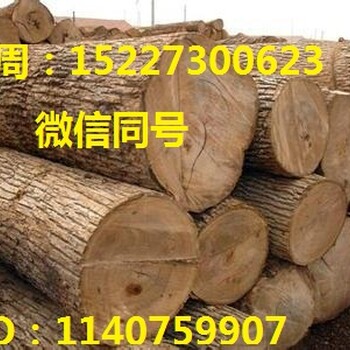 广州港木材进口报关公司服务好
