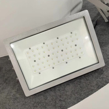 XQD8100吉安防爆燈