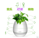 新品触摸可弹琴音乐花盆智能创意带蓝牙音响盆栽绿植照明的音箱