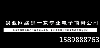 威海网店代运营淘宝托管哪家靠谱推荐图片0