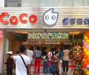 河南coco奶茶加盟费用是多少图片