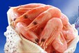 寧波上海大洋甜蝦進口報關服務海運手續流程
