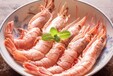 宁波上海大洋甜虾进口报关公司甜虾资料有哪些