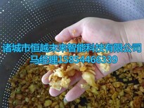 恒越未来HYWL-200L椰肉压榨机苹果压榨机果蔬压榨脱水机图片3