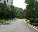 广西桂林市彰泰-睿城小区车道人行道透水混凝土（黑色）图片