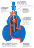 Z45X/Z41X弹性座封闸阀、软密封闸阀