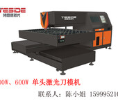 印刷板激光刀模机-广东高精密激光刀模切割机设备