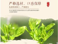 供应酸枣叶茶产地图片5