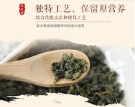 供应纯酸枣叶茶供应商图片4