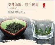 供应纯酸枣叶茶供应商图片1