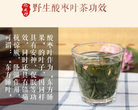 供应纯酸枣叶茶供应商图片2