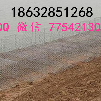 石籠網(wǎng)石籠網(wǎng)廠家石籠網(wǎng)箱石籠網(wǎng)生產(chǎn)廠家