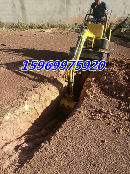 果园用的小型挖掘机参数绿化履带式挖坑机行情价格