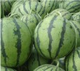 自家种植西瓜3-4万斤求收购