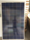 出售全新各種太陽能電池板圖片0