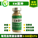 EM菌液菌种养鸡养鸭养鹅等禽类的好处