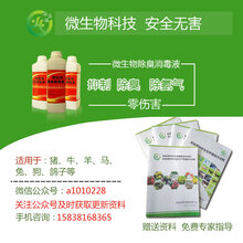 水质改良生物菌剂微生物除臭消毒污水处理图片