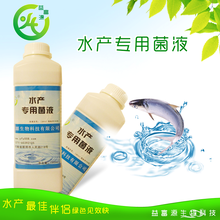 夏季使用渔药注意事项图片