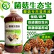 黑皮鸡枞菌的高产栽培管理技术菌菇生态宝批发价格