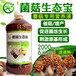 羊肚菌出菇刺激方法后茬出菇怎么补充营养提高产量