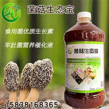 宁武蛞蝓菌蚊烟灰虫等羊肚菌常见病虫害怎么防治