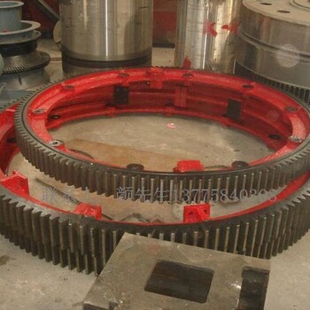 吉林销轴式弹簧板连接烘干机大小齿轮配件生产厂家
